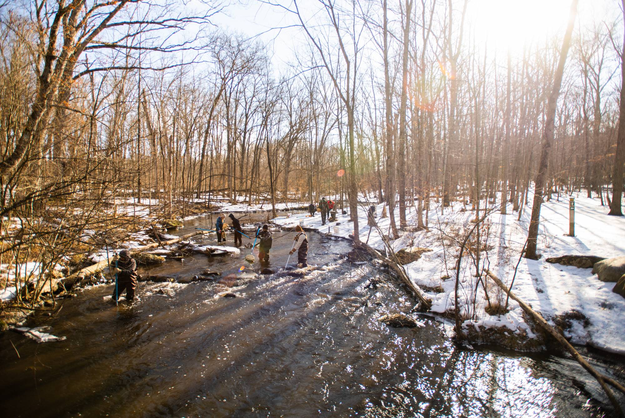 students wading in a river